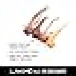 Lakme 9 to 5 Eye Color Quartet Eye Shadow, Desert Rose, 7g