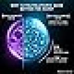 TRESemmé Hydra Matrix Leave In Conditioner 50 millilitre with Polyglutamic Acid|100H Hydration, Frizz Control, Heat Protection|Paraben Free Hair Serum for Dry Frizzy Hair|Floral